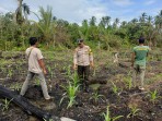 Bhabinkamtibmas Pantau Perkembangan Tanaman Jagung di Desa Teluk Bunian