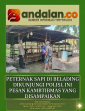 Peternak Sapi di Belading Dikunjungi Polisi, Ini Pesan Kamtibmas yang Disampaikan