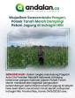 Wujudkan Swasembada Pangan, Polsek Tanah Merah Dampingi Petani Jagung di Indragiri Hilir