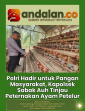 Polri Hadir untuk Pangan Masyarakat, Kapolsek Sabak Auh Tinjau Peternakan Ayam Petelur
