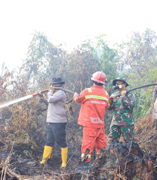 Sinergi di Tengah Bara: Kapolres dan Dandim Inhil Berjibaku Padamkan Karhutla