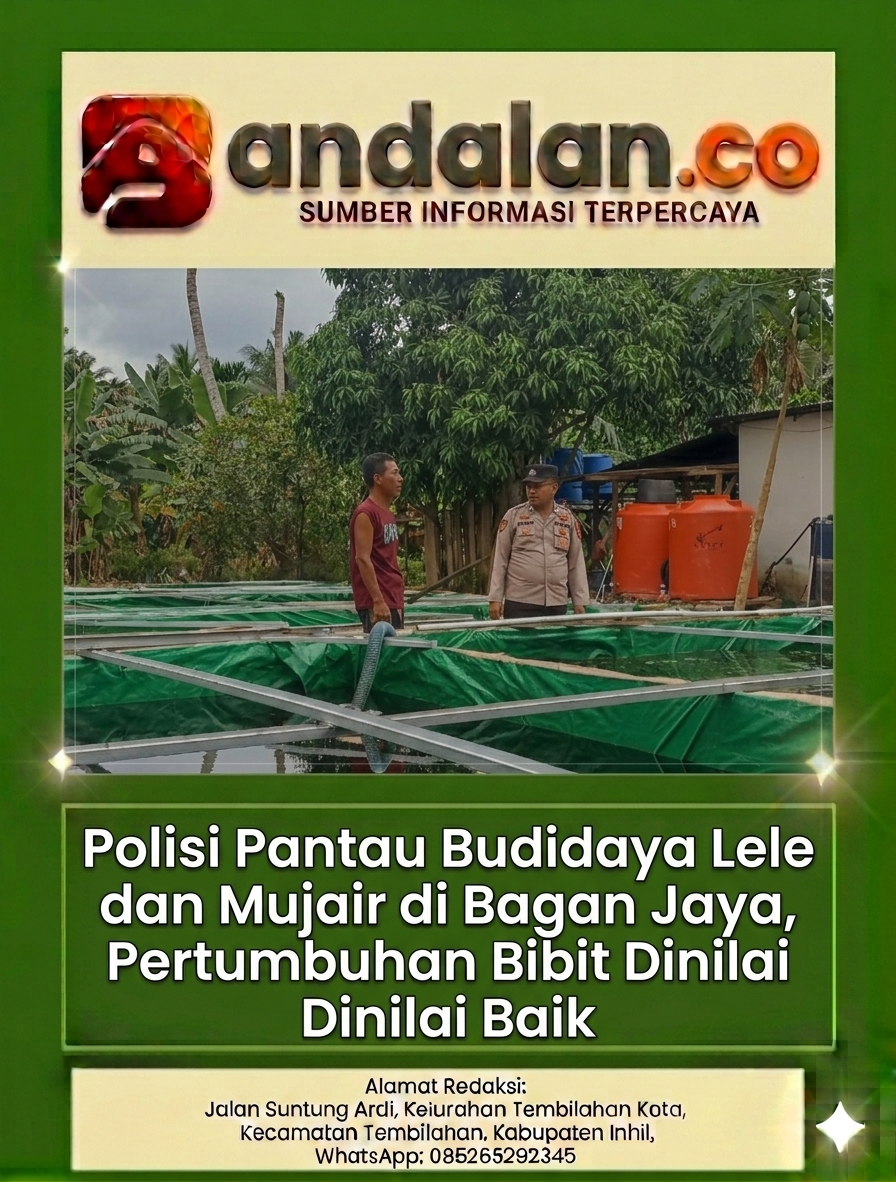Polisi Pantau Budidaya Lele dan Mujair di Bagan Jaya, Pertumbuhan Bibit Dinilai Baik