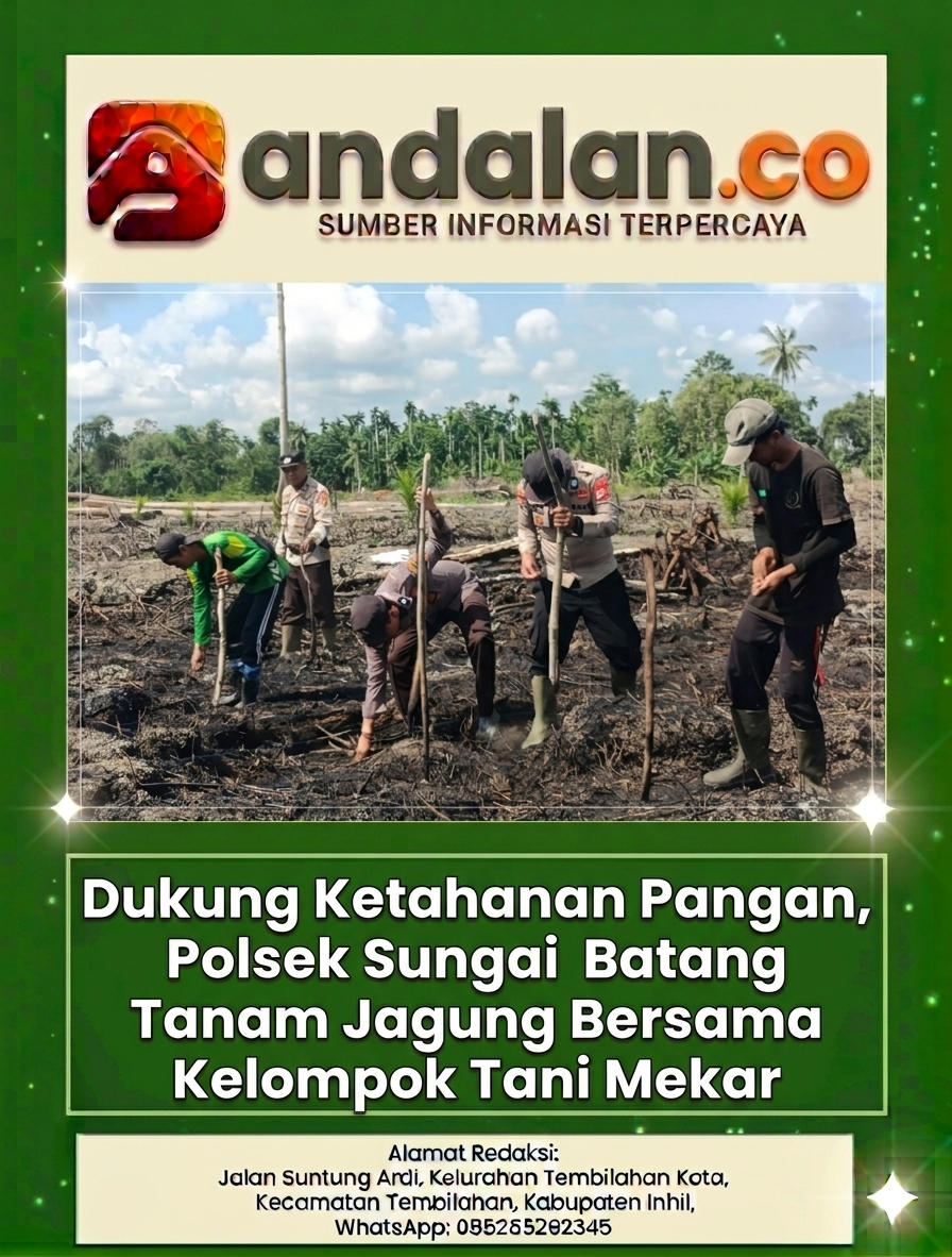 Dukung Ketahanan Pangan, Polsek Sungai Batang Tanam Jagung Bersama Kelompok Tani Mekar