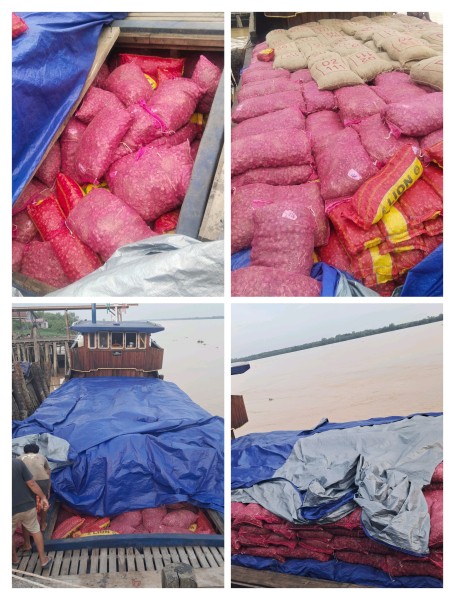 Aksi Deninteldam XIX/TT: Amankan Puluhan Ton Bawang Merah Ilegal dan Serahkan ke Karantina  Tembilahan