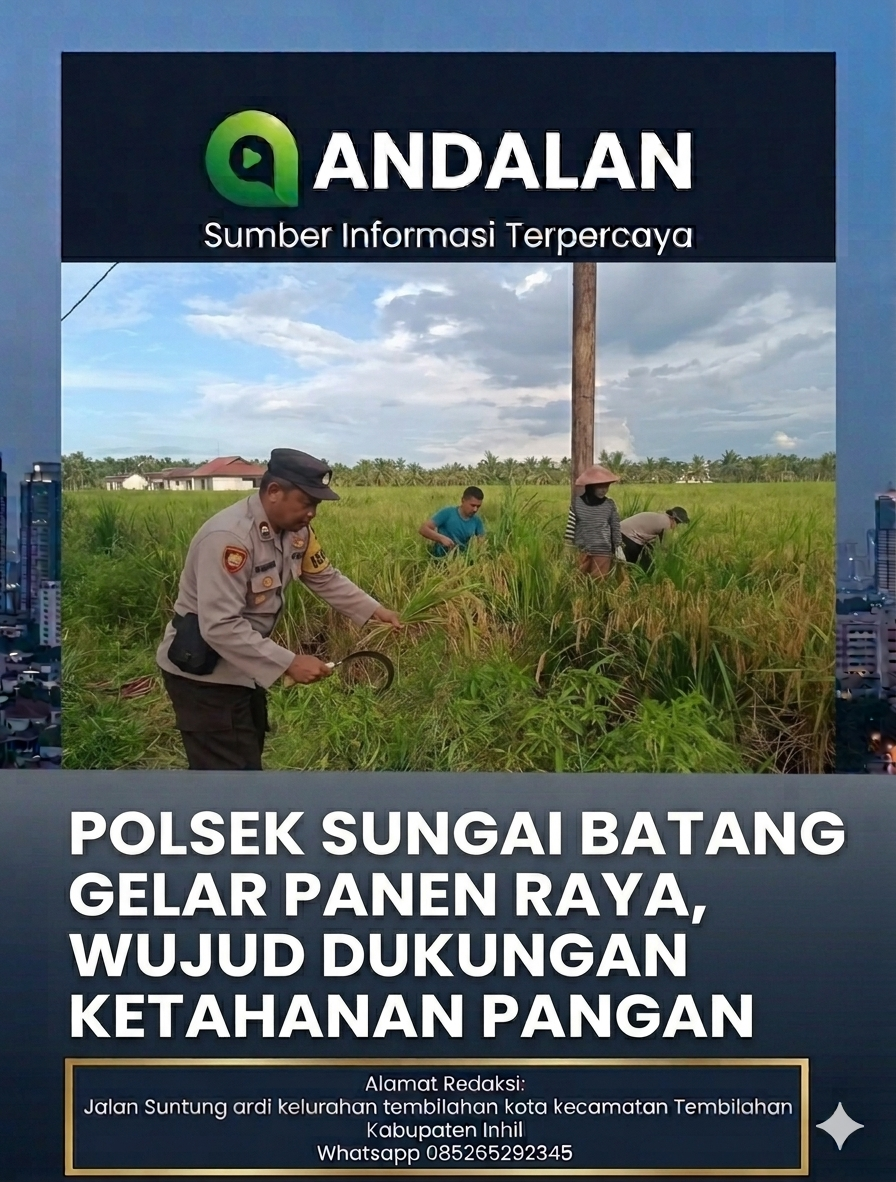 Polsek Sungai Batang Gelar Panen Raya, Wujud Dukungan Ketahanan Pangan