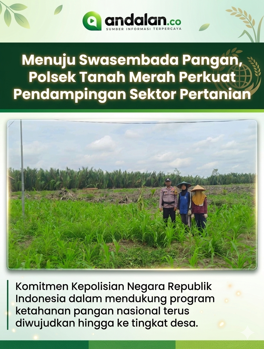 Menuju Swasembada Pangan, Polsek Tanah Merah Perkuat Pendampingan Sektor Pertanian