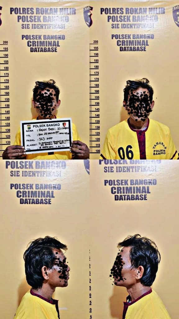 HB Nekat Curi Sejumlah Mesin di Rumah Seorang PNS Rohil