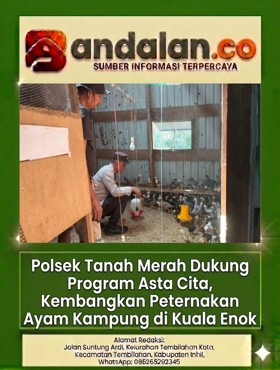 Polsek Tanah Merah Dukung Program Asta Cita, Kembangkan Peternakan Ayam Kampung di Kuala Enok