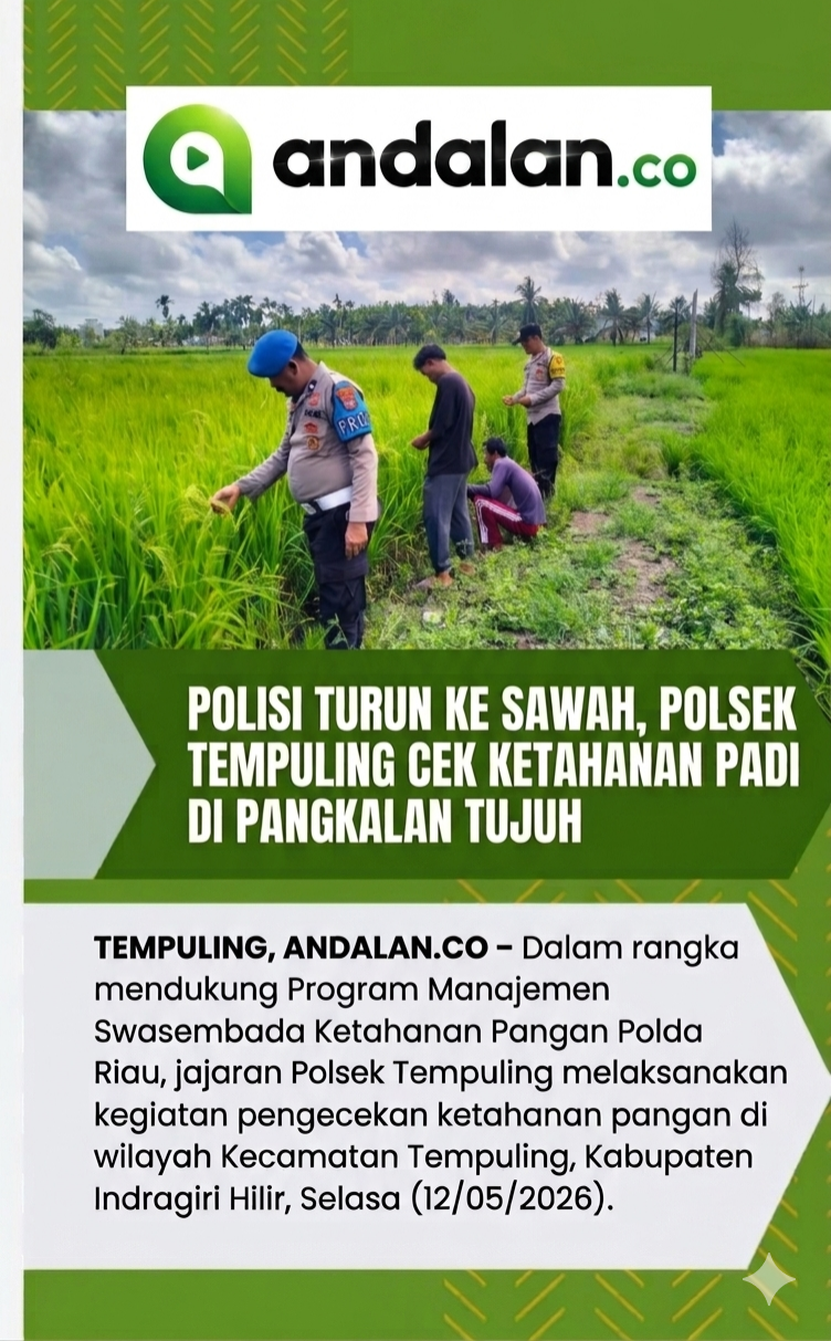 Polisi Turun ke Sawah, Polsek Tempuling Cek Ketahanan Padi di Pangkalan Tujuh