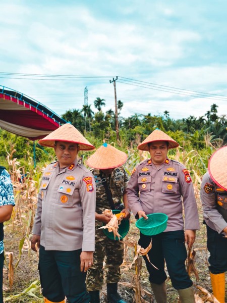 Kapolres Inhil Hadiri Panen Raya Jagung Serentak, Bukti Dukungan Ketahanan Pangan Nasional