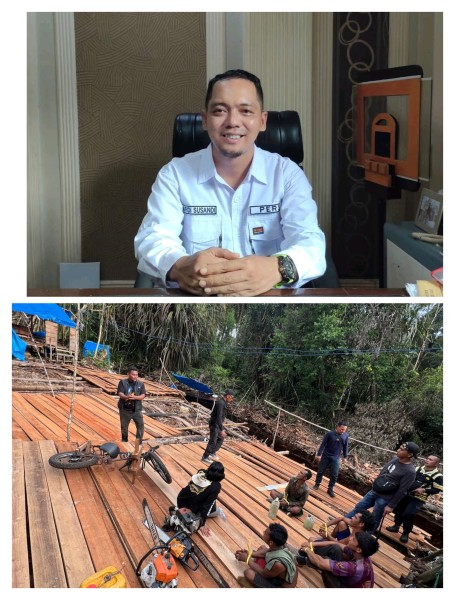 Hutan Inhil di Ujung Tanduk:Ketua IWO Riau Serukan Keberanian Bongkar Mafia Kayu Ilegal!