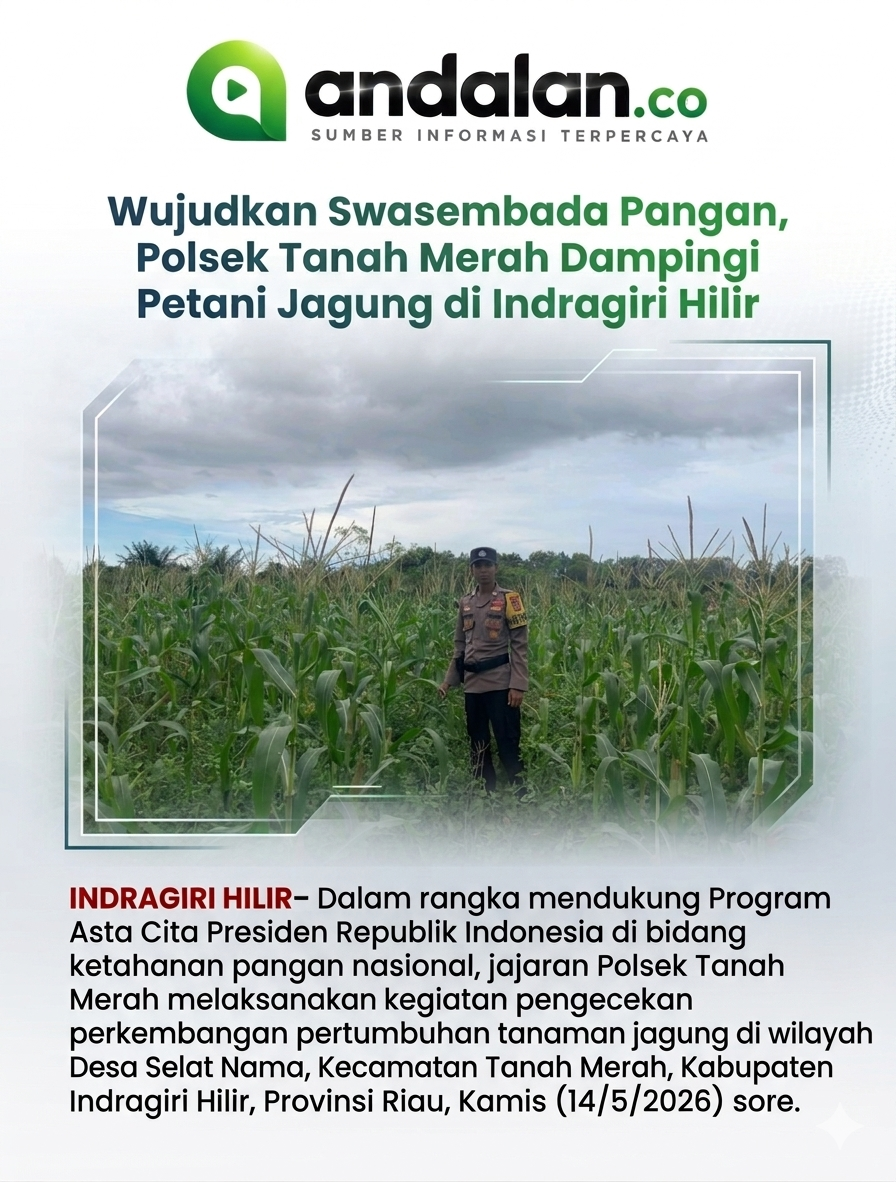 Wujudkan Swasembada Pangan, Polsek Tanah Merah Dampingi Petani Jagung di Indragiri Hilir