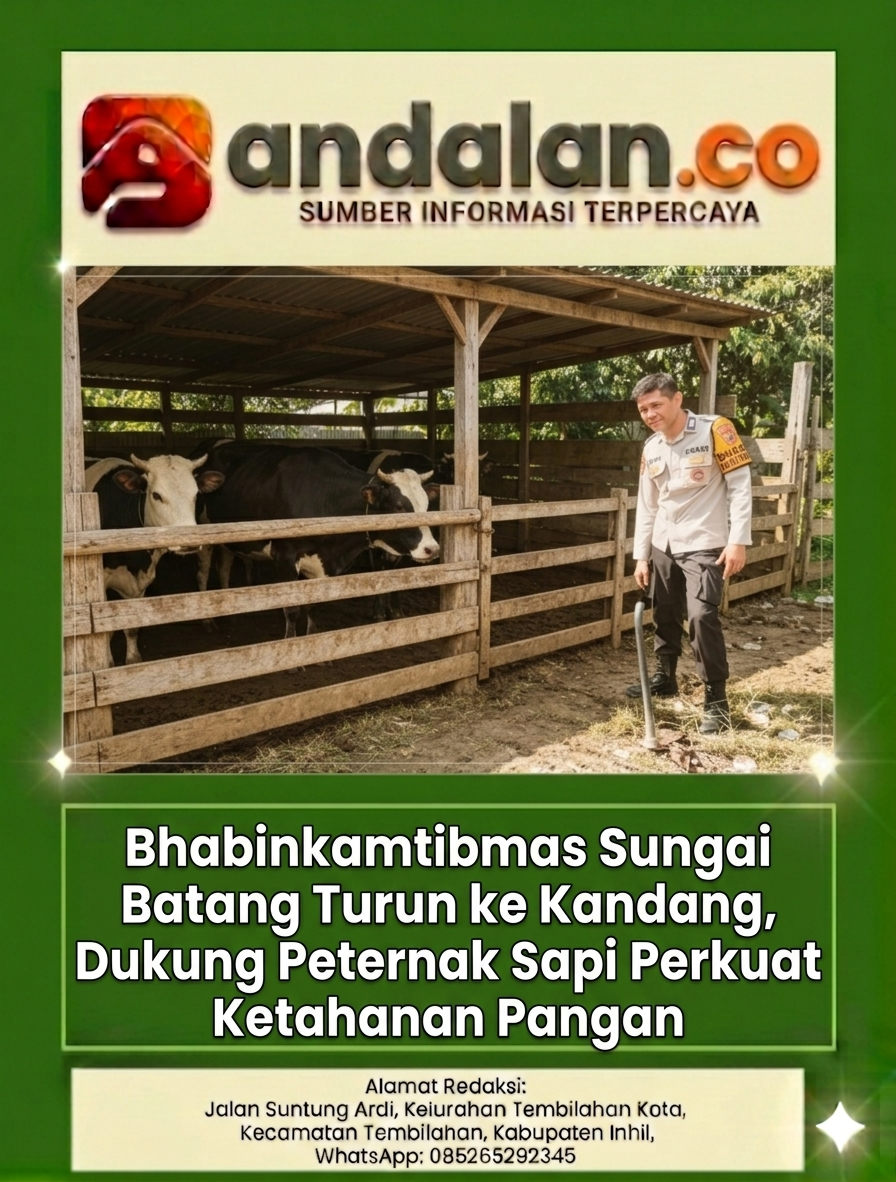 Bhabinkamtibmas Sungai Batang Turun ke Kandang, Dukung Peternak Sapi Perkuat Ketahanan Pangan