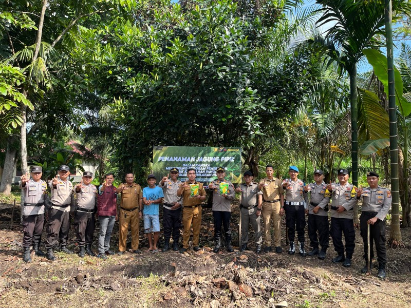 Sulap Lahan Tidur Jadi Produktif, Polsek Tembilahan Hulu Tanam Jagung untuk Ketahanan Pangan