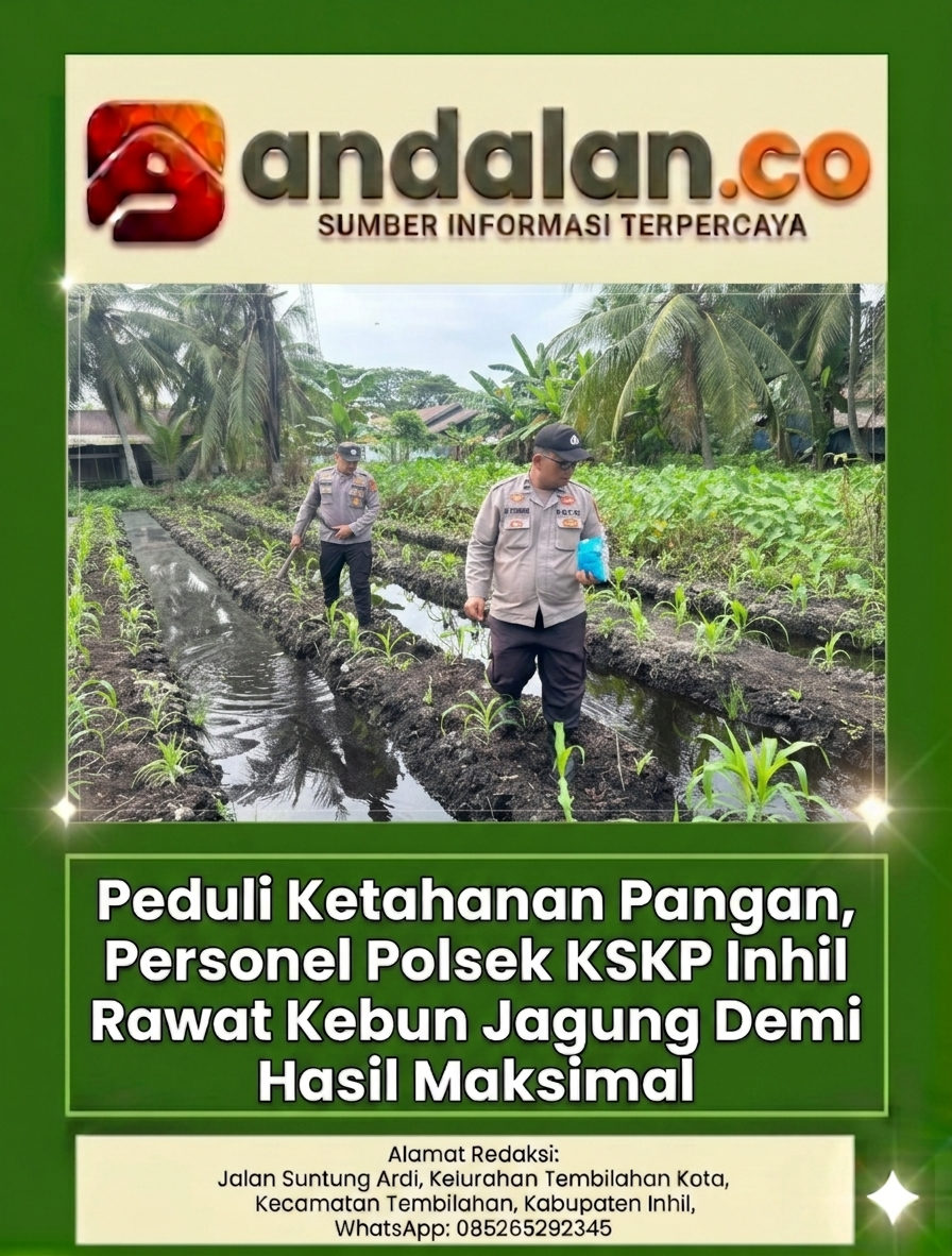 Peduli Ketahanan Pangan, Personel Polsek KSKP Inhil Rawat Kebun Jagung Demi Hasil Maksimal