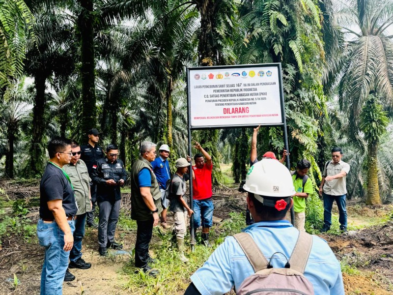 Penertiban Kawasan Hutan, Mendorong Pengelolaan Hutan Untuk Kepentingan Rakyat
