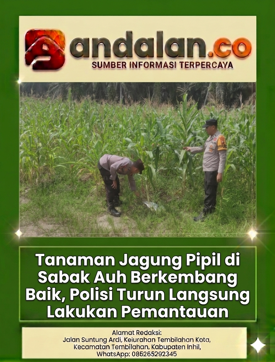 Tanaman Jagung Pipil di Sabak Auh Berkembang Baik, Polisi Turun Langsung Lakukan Pemantauan