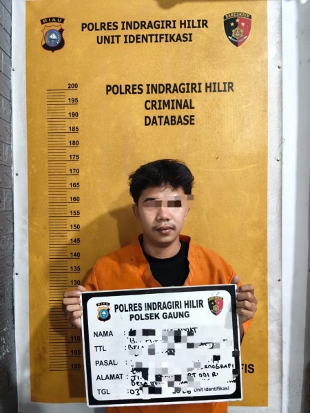Rekam Warga Mandi Diam-Diam, Pemuda 20 Tahun di Belantaraya Ditangkap Polsek Gaung