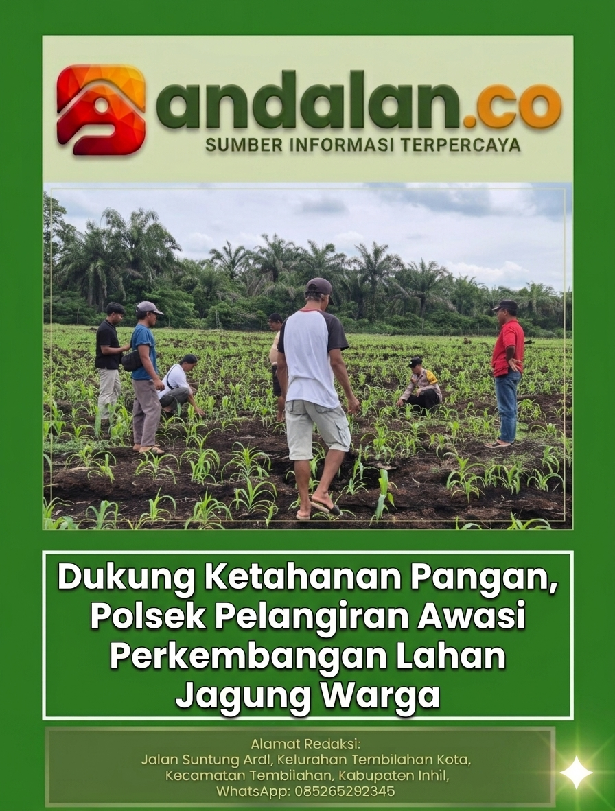 Dukung Ketahanan Pangan, Polsek Pelangiran Awasi Perkembangan Lahan Jagung Warga
