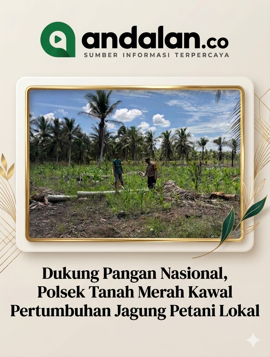 Dukung Pangan Nasional, Polsek Tanah Merah Kawal Pertumbuhan Jagung Petani Lokal