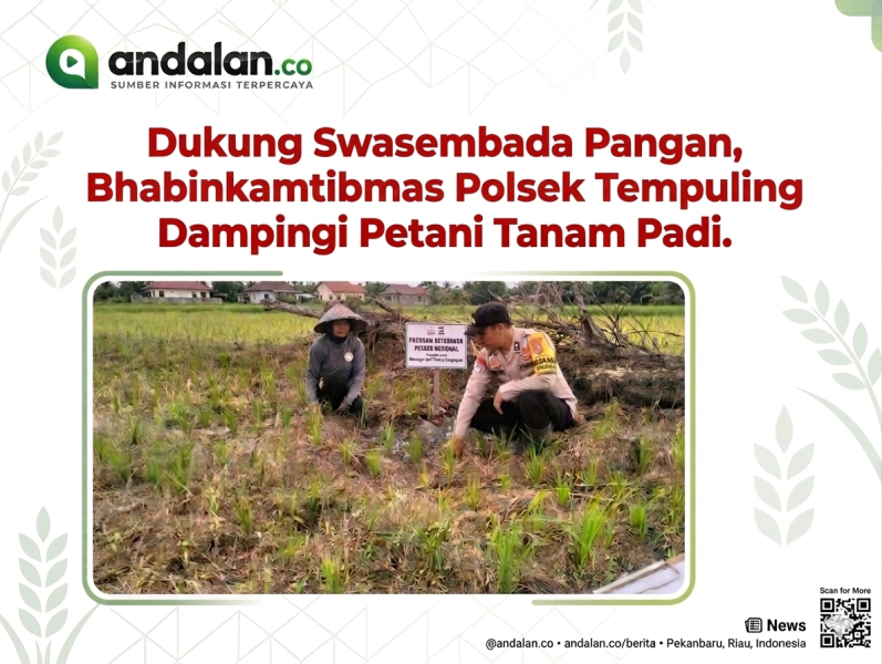 Dukung Swasembada Pangan, Bhabinkamtibmas Polsek Tempuling Dampingi Petani Tanam Padi