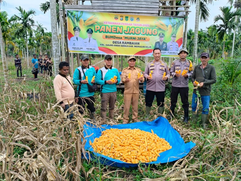 Dukungan Polri Menggema di Ladang Jagung, Kades Rambaian Siap Wujudkan Lumbung Pangan